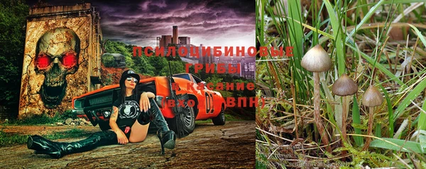 трава Михайлов