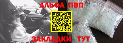 стаф Бийск
