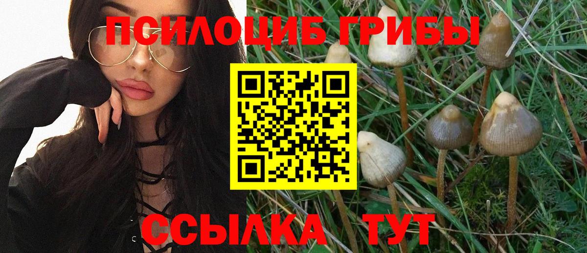 Конопля Ступино
