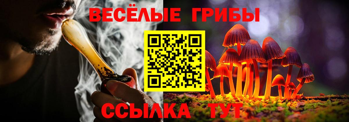Псилоцибиновые грибы GOLDEN TEACHER Ступино