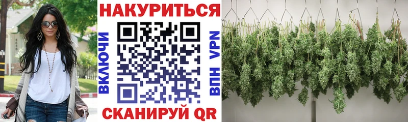 цены   Ступино  Конопля сатива 