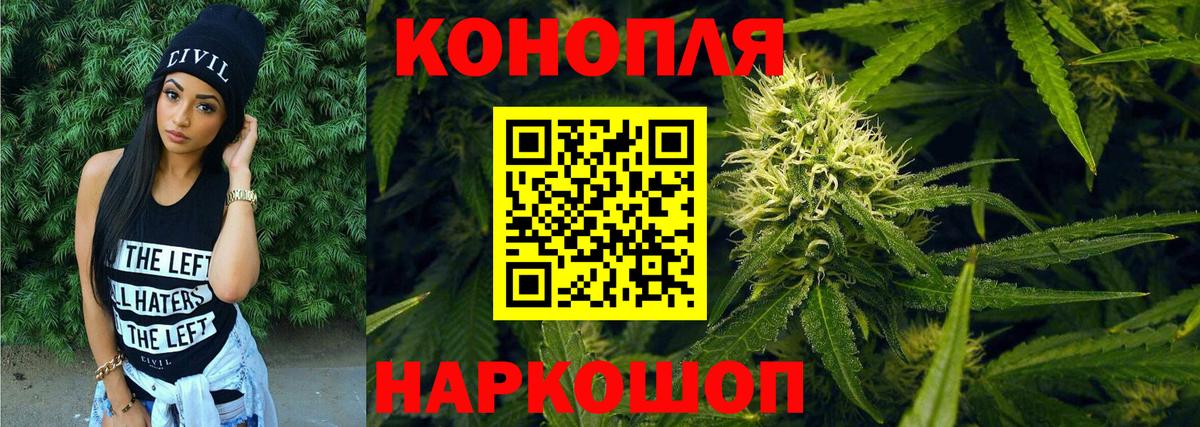 Конопля планчик  Вход с VPN  МАРИХУАНА сатива  Ступино  Конопля ГИДРОПОН 