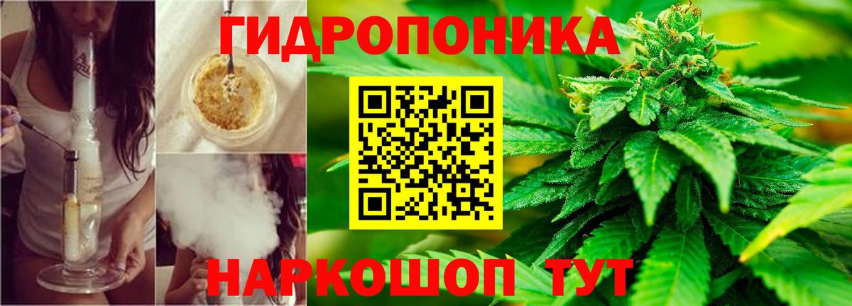 Шишки марихуана конопля Ступино